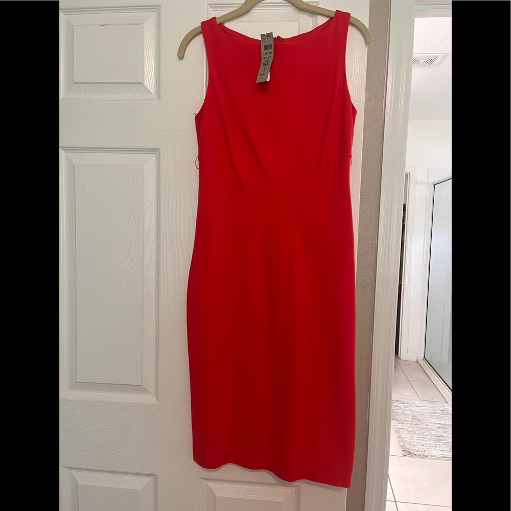 NWT Cache Dress